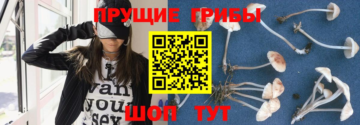 Галлюциногенные грибы MAGIC MUSHROOMS Касимов